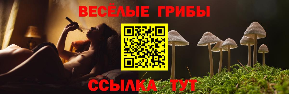 Псилоцибиновые грибы Psilocybine cubensis  Вход с VPN  где найти наркотики  Рассказово 